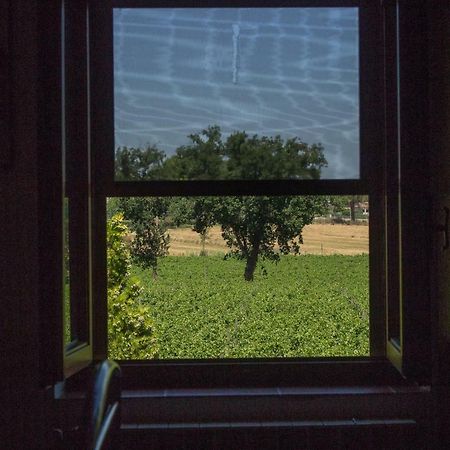 Country House Carmelita Limigiano Exterior photo