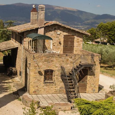 Country House Carmelita Limigiano Exterior photo